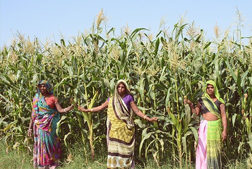 Axis Bank Foundation creates sustainable livelihoods opportunities in 1000+ villages in Gujarat, Rajasthan